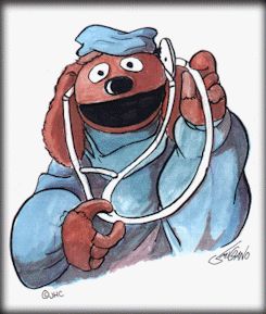 The Muppet Show The Muppet Show