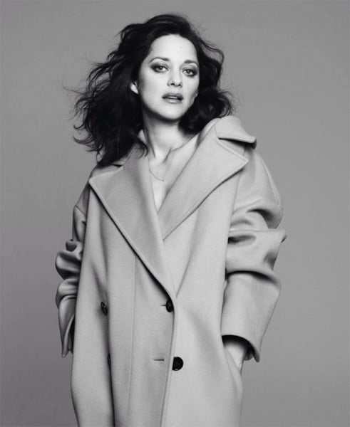 Picture of Marion Cotillard