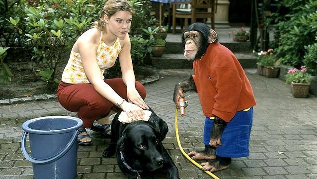 Unser Charly (1995- ) Unser Charly (1995- )