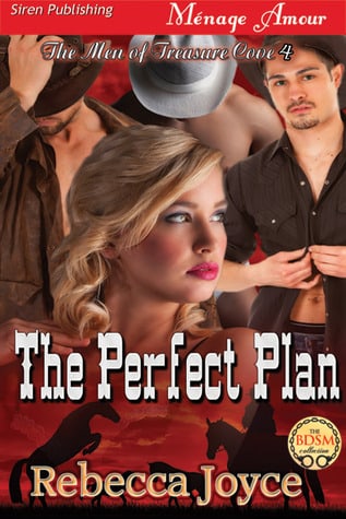 The Perfect Plan (The Men of Treasure Cove #4)