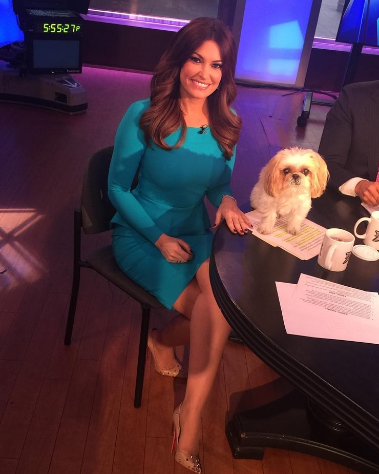 Kimberly Guilfoyle image