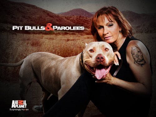 Pit Bulls and Parolees