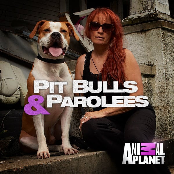 Pit Bulls and Parolees