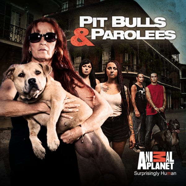 Pit Bulls and Parolees