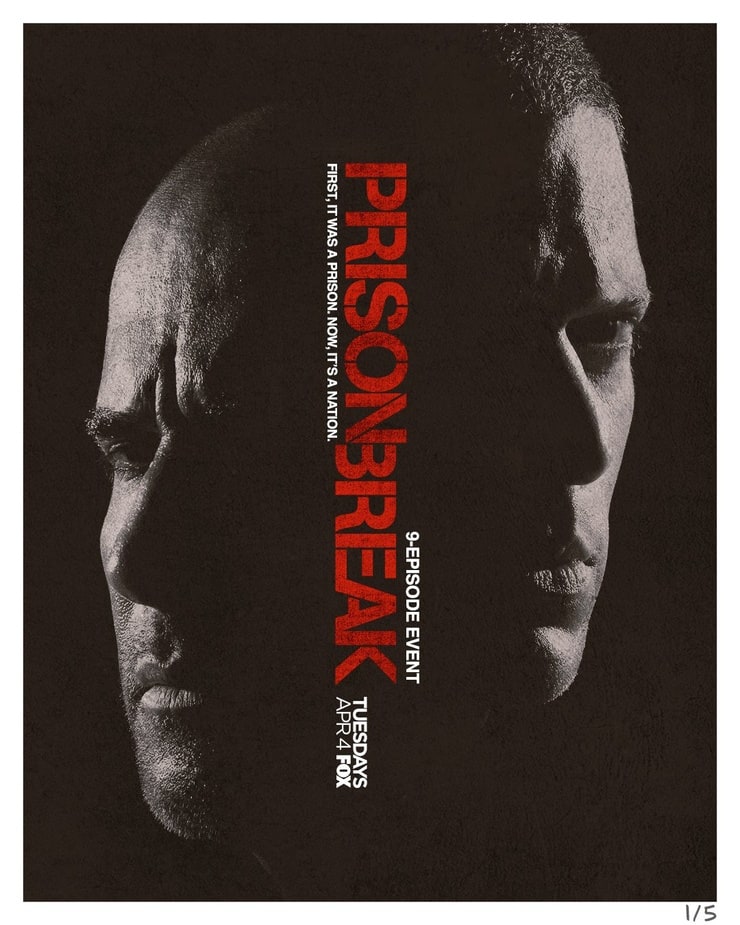Prison Break                                  (2005-2017)