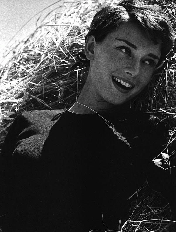 Audrey Hepburn Audrey Hepburn
