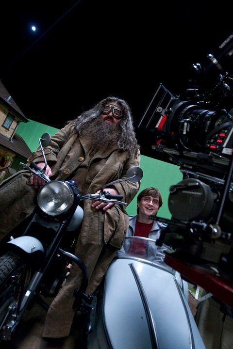Harry Potter and the Deathly Hallows: Part 1 Harry Potter and the Deathly Hallows: Part 1