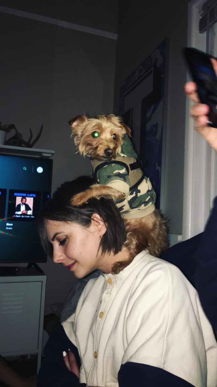 Willa Holland Willa Holland