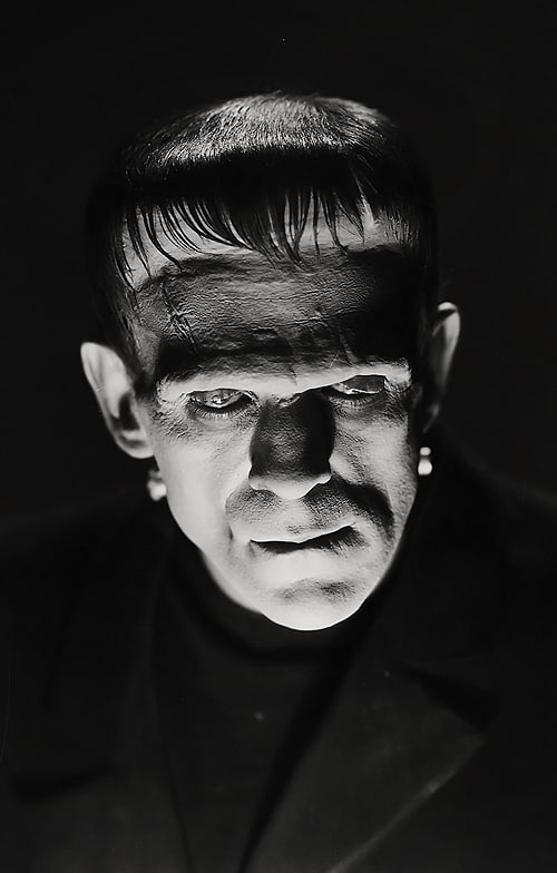 Picture of Frankenstein