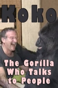 Koko: The Gorilla Who Talks to People