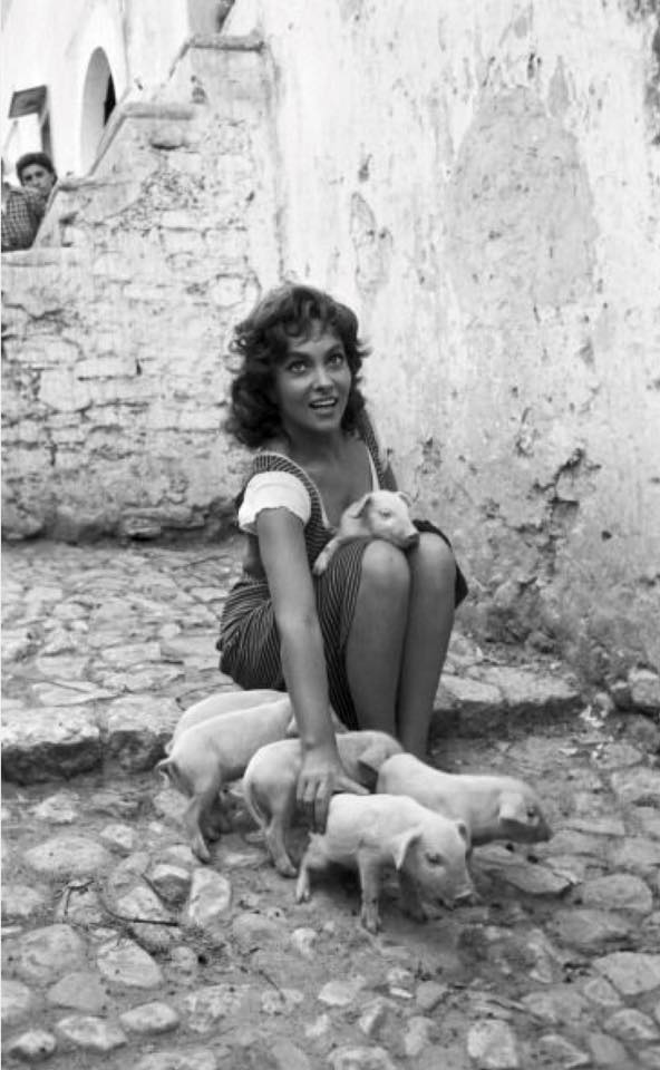 Gina Lollobrigida