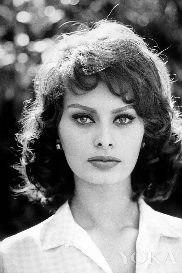 Sophia Loren