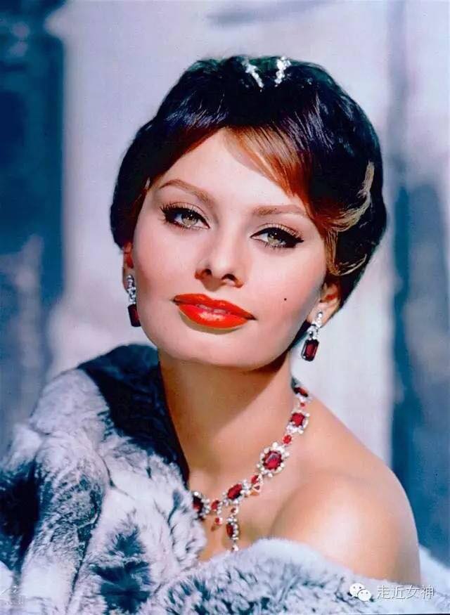 Sophia Loren