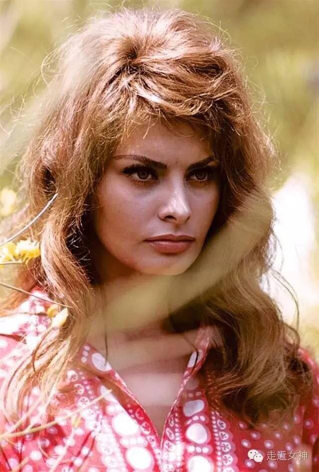 Sophia Loren