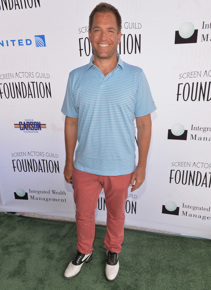 Michael Weatherly
