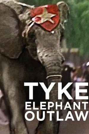 Tyke Elephant Outlaw (2015)