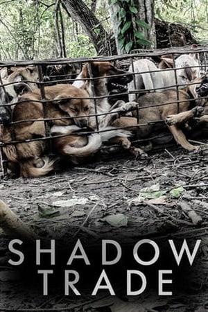 Shadow Trade (2014)