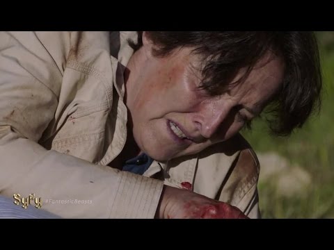 Channel Zero