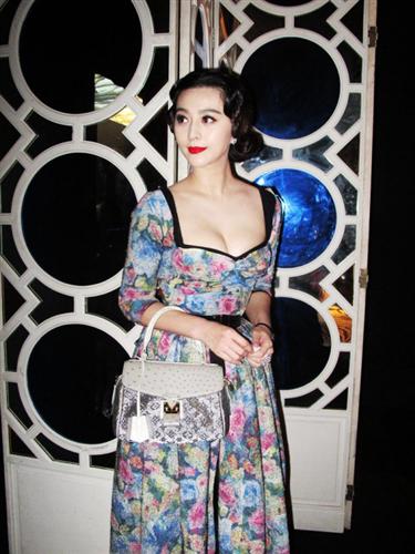 Bingbing Fan Bingbing Fan