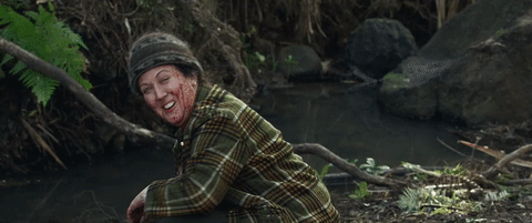 Hunt for the Wilderpeople