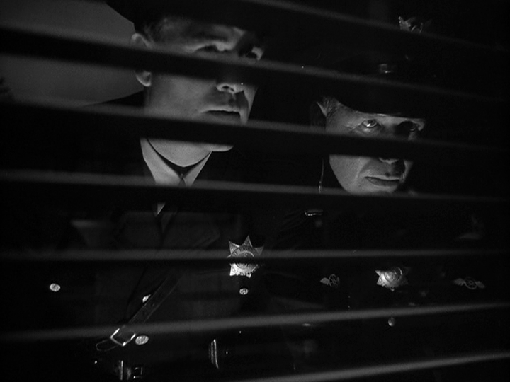 The Asphalt Jungle The Asphalt Jungle