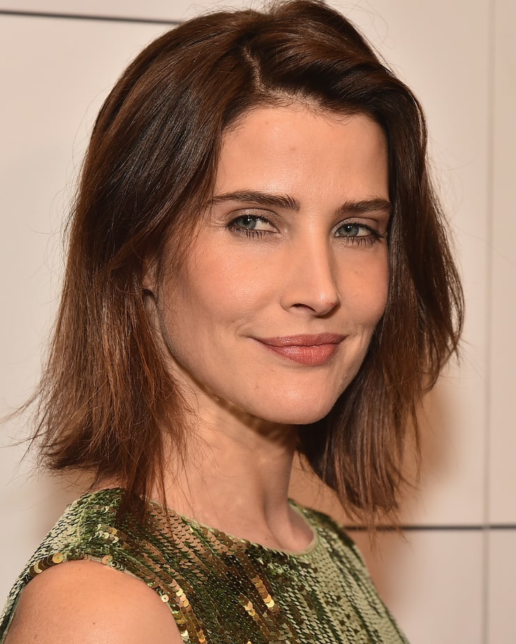 Cobie Smulders