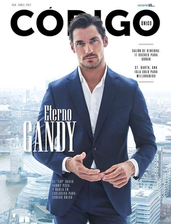 David Gandy