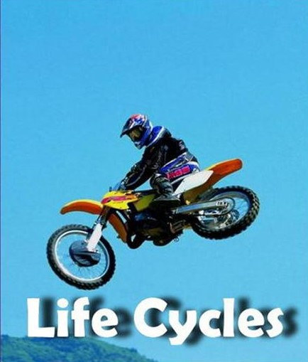 Life Cycles Life Cycles