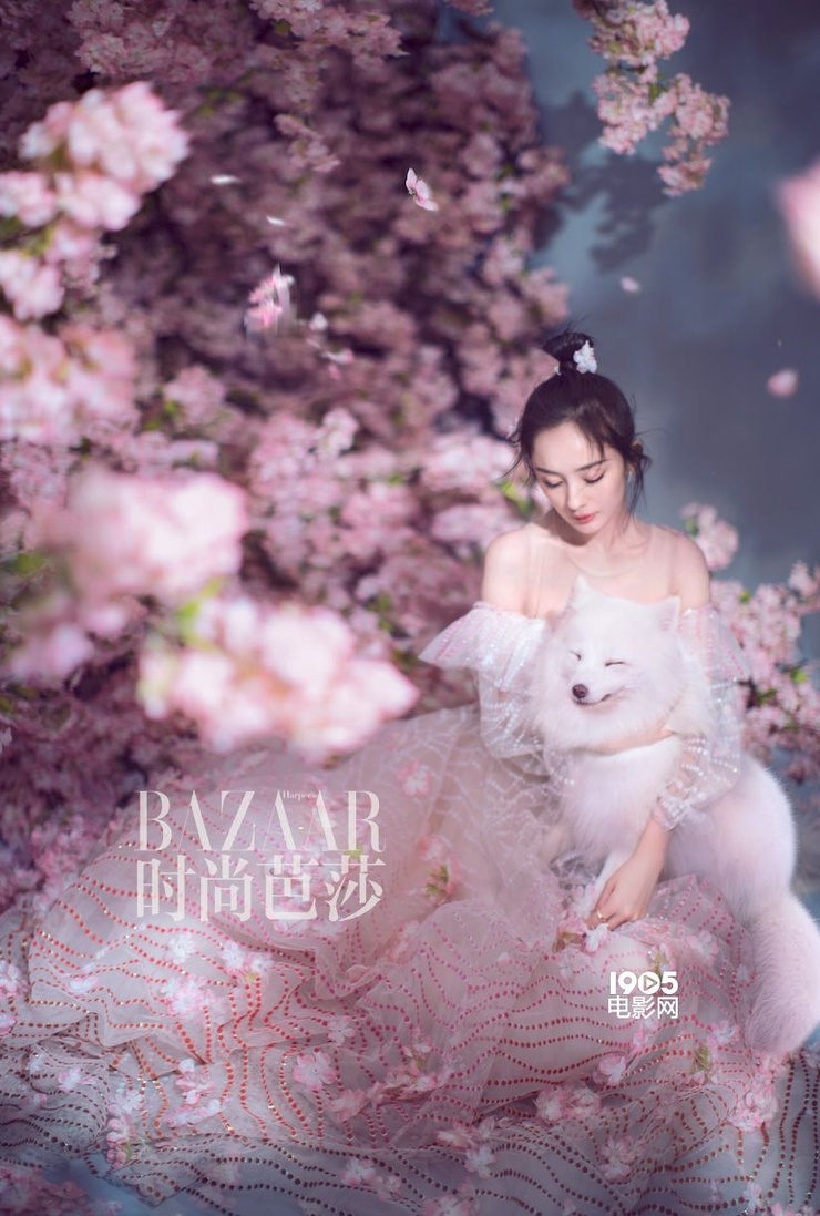 Mi Yang Mi Yang