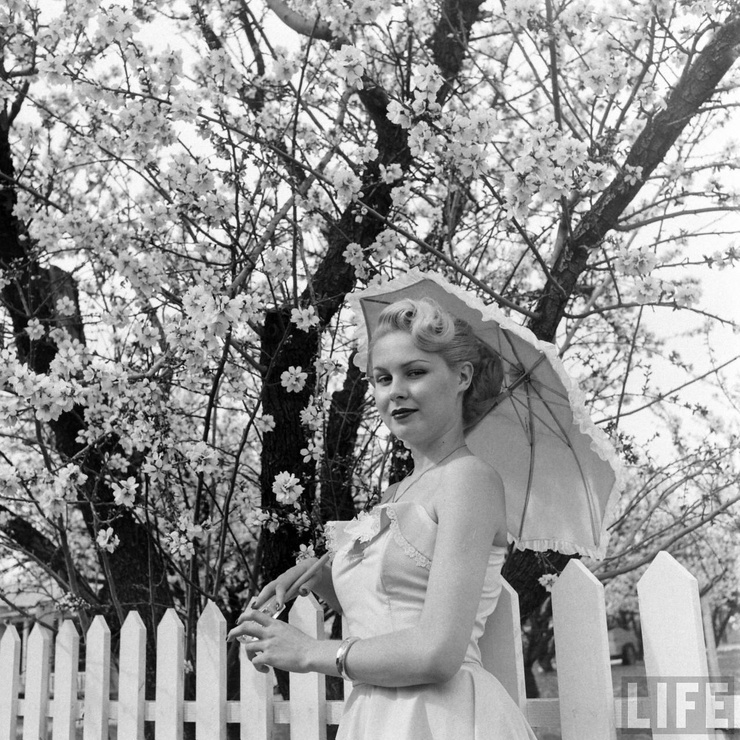 Joi Lansing
