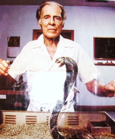 Bill Haast