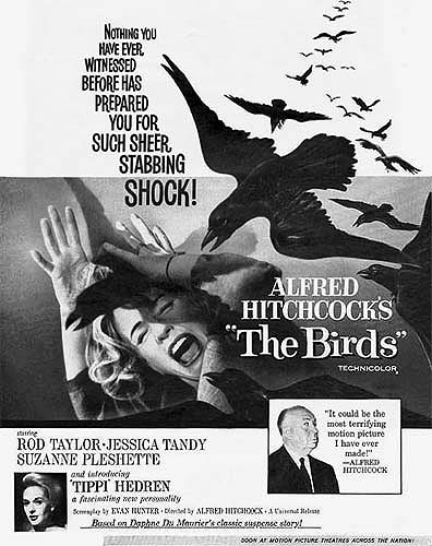 The Birds