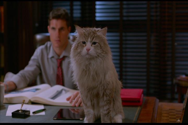 Nine Lives