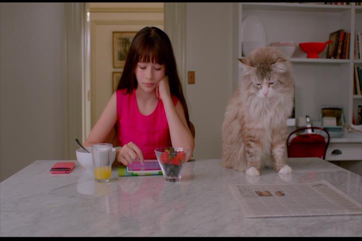 Nine Lives