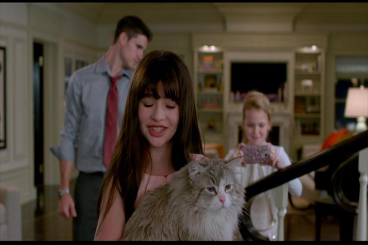 Nine Lives