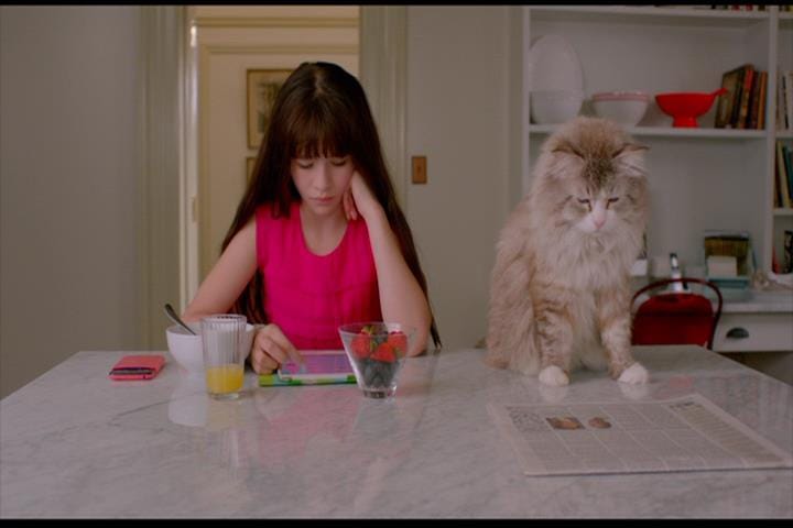 Nine Lives