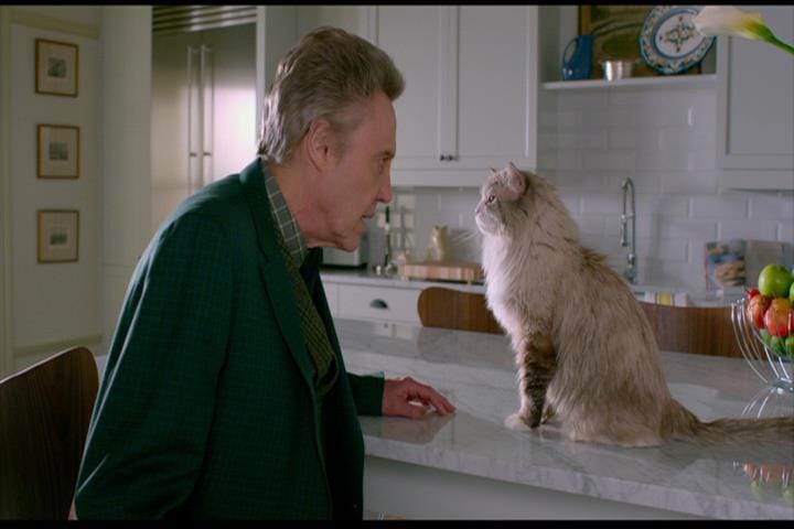 Nine Lives