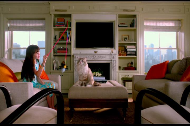 Nine Lives