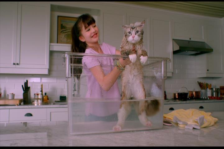 Nine Lives