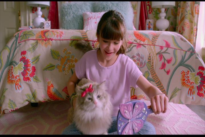 Nine Lives