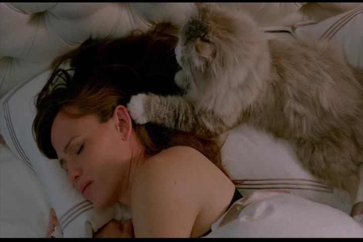 Nine Lives