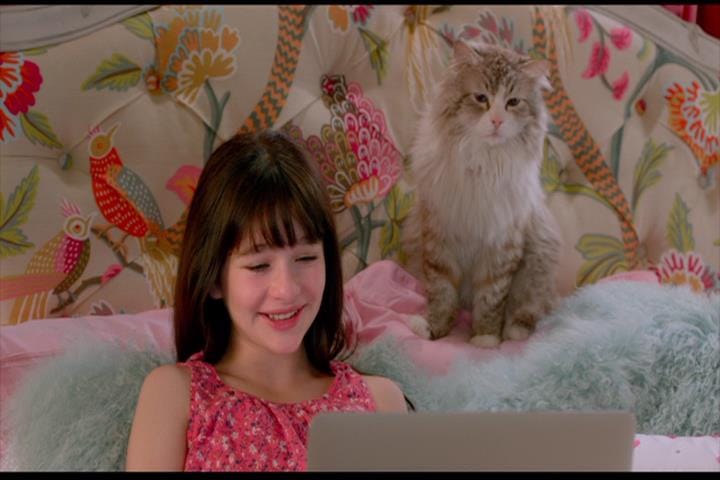 Nine Lives