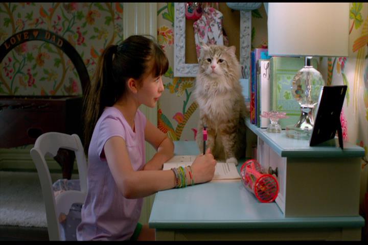Nine Lives