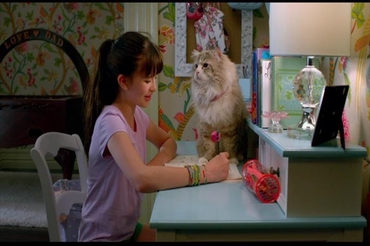 Nine Lives