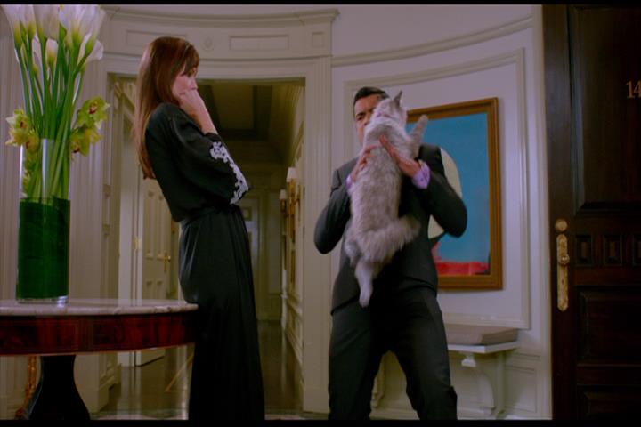 Nine Lives