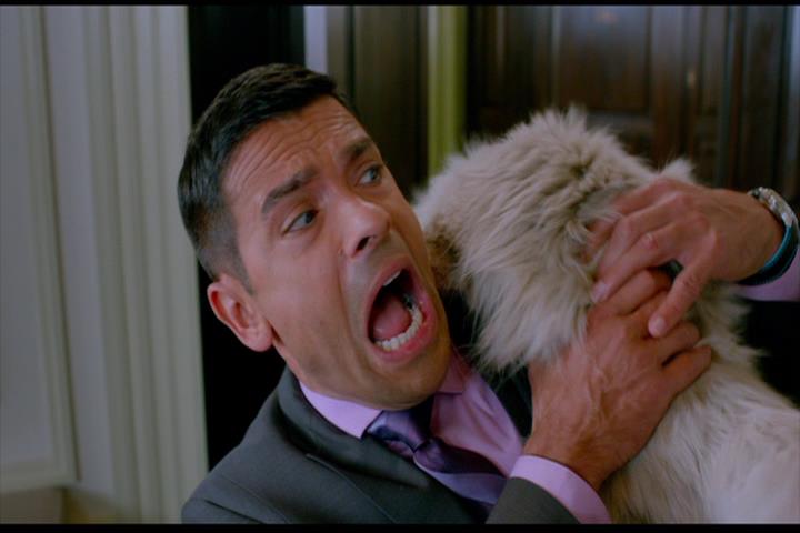 Nine Lives
