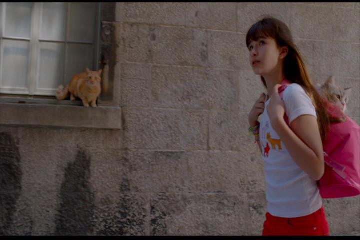 Nine Lives