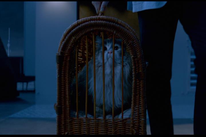 Nine Lives