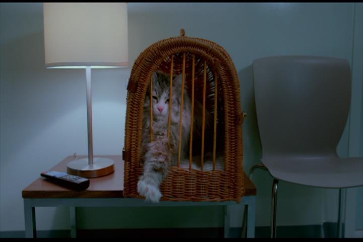 Nine Lives
