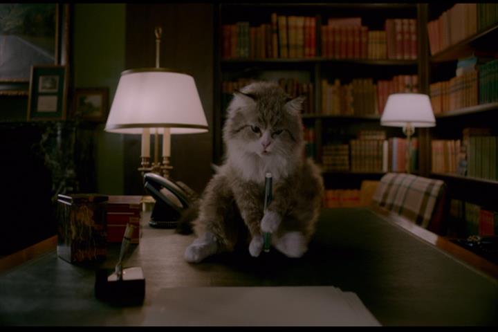 Nine Lives